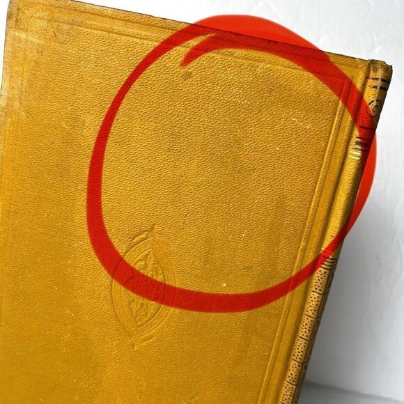 Wood’s Library of Standard Medical Authors Malaria and Malarial Diseases 1884 Ge - Picture 3 of 12